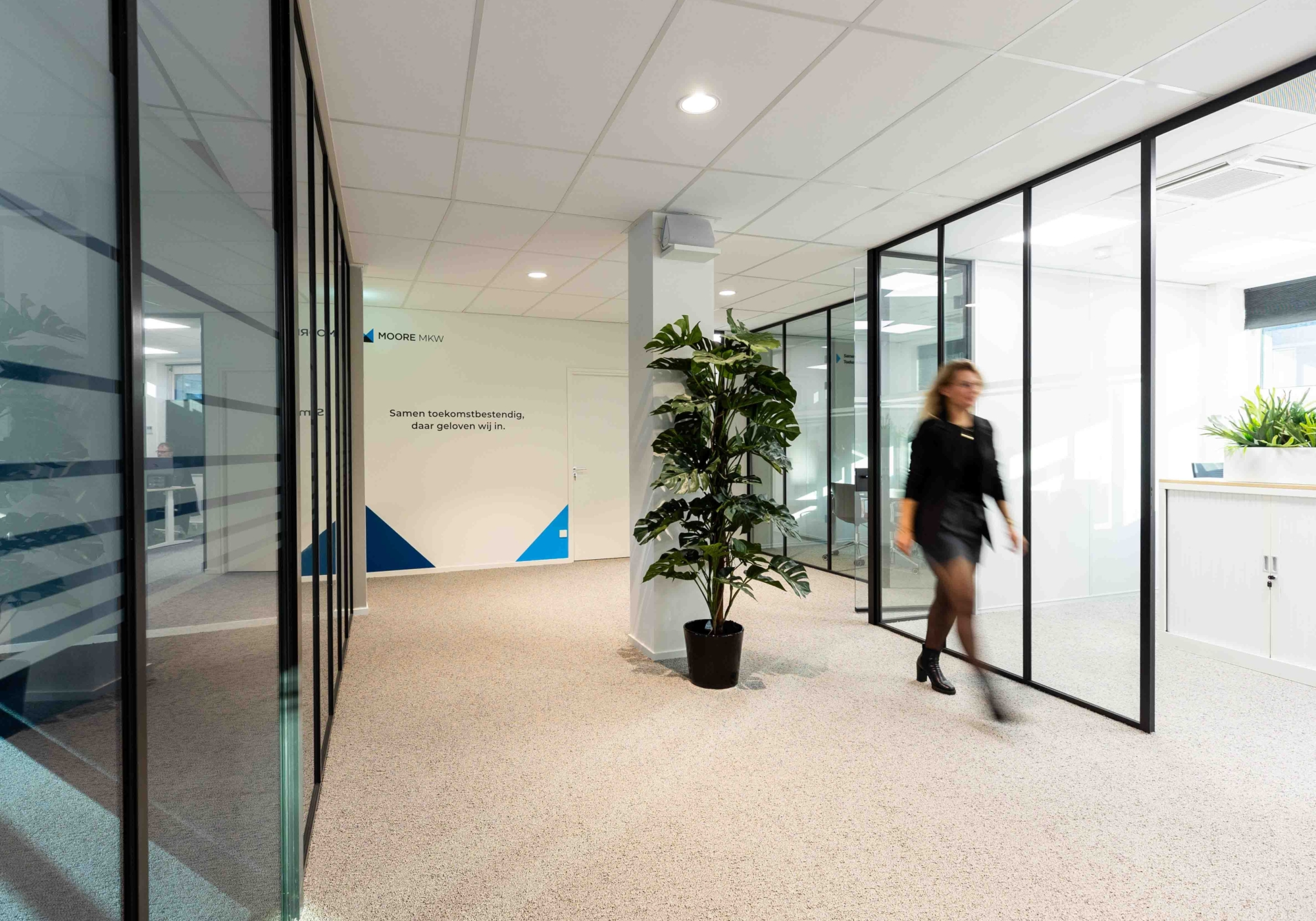 Zwolle Moore MKW 8